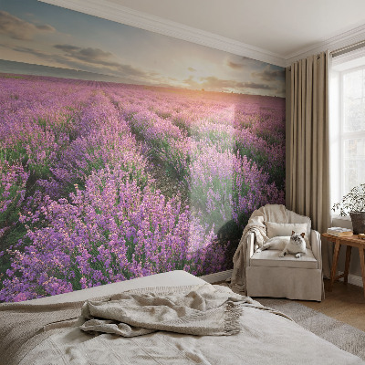 Mural decorativo con motivo de campos de lavanda