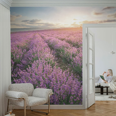 Mural decorativo con motivo de campos de lavanda