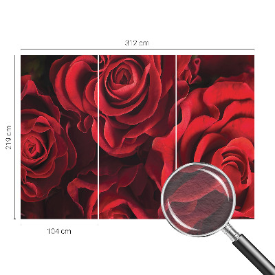 Fotomural decorativo para cabecero de cama con diseño de rosas rojas