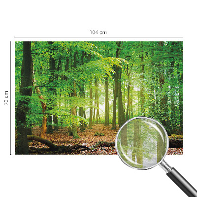 Papel mural con patrón decorativo con diseño de bosque en tonos verdes