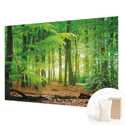 Papel mural con patrón decorativo con diseño de bosque en tonos verdes