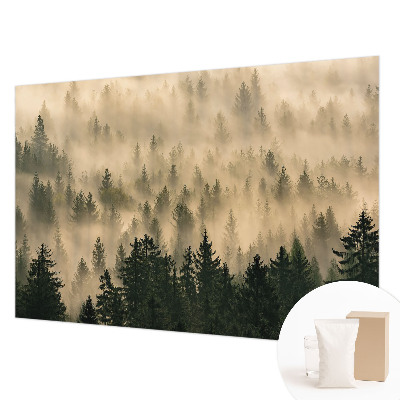 Mural de pared con estampado hermoso con motivo de niebla en el bosque