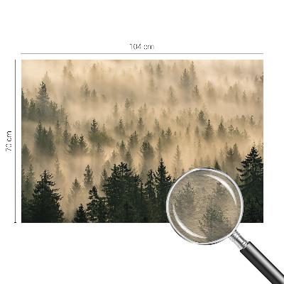 Mural de pared con estampado hermoso con motivo de niebla en el bosque