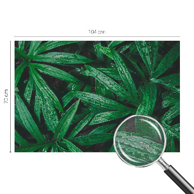 Mural decorativo con motivo de vegetación natural