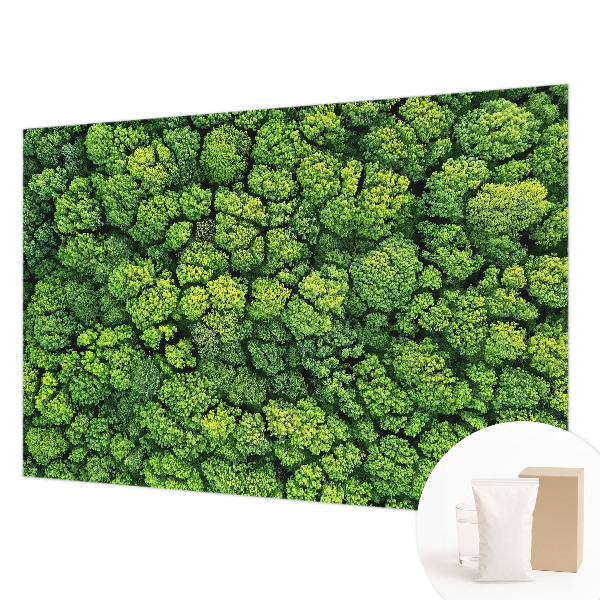 Mural decorativo con diseño panorámico del bosque
