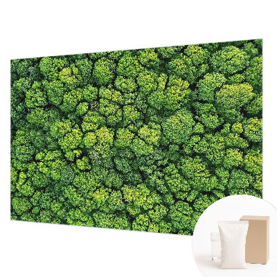 Mural decorativo con diseño panorámico del bosque