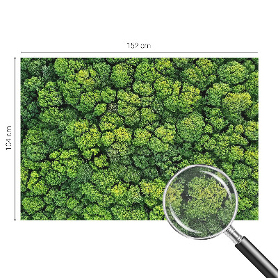 Mural decorativo con diseño panorámico del bosque