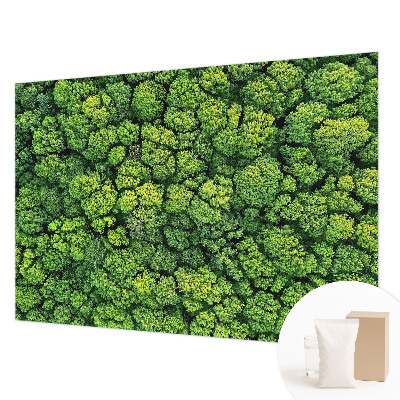 Mural decorativo con diseño panorámico del bosque