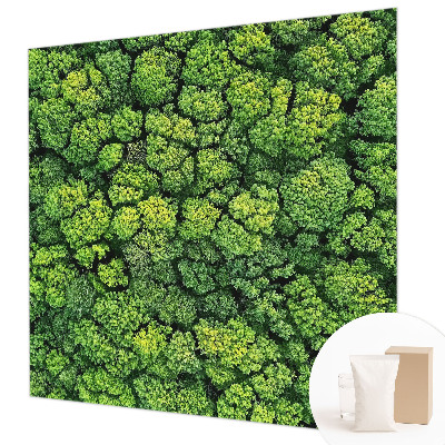 Mural decorativo con diseño panorámico del bosque