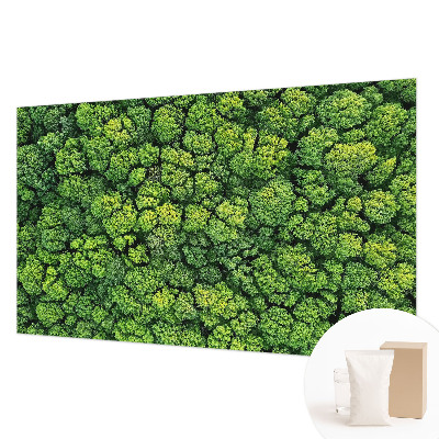 Mural decorativo con diseño panorámico del bosque