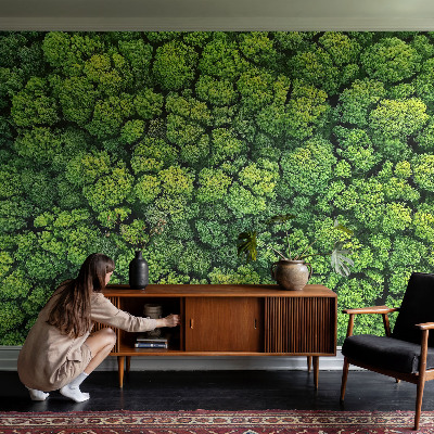 Mural decorativo con diseño panorámico del bosque