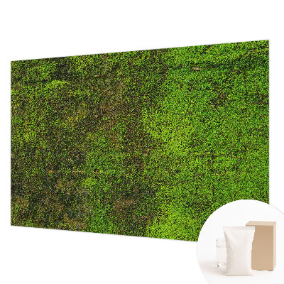 Papel mural con patrón decorativo con diseño de alfombra verde