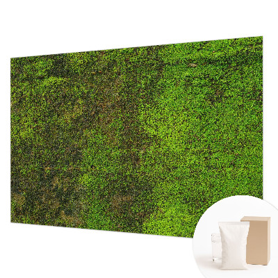 Papel mural con patrón decorativo con diseño de alfombra verde