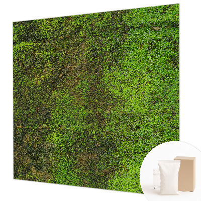 Papel mural con patrón decorativo con diseño de alfombra verde
