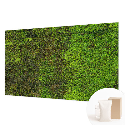 Papel mural con patrón decorativo con diseño de alfombra verde