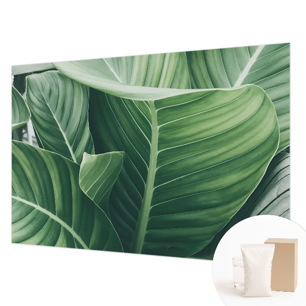 Papel mural con patrón decorativo en color verde con diseño 'Paz'