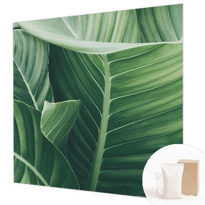 Papel mural con patrón decorativo en color verde con diseño 'Paz'