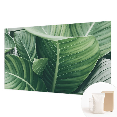 Papel mural con patrón decorativo en color verde con diseño 'Paz'
