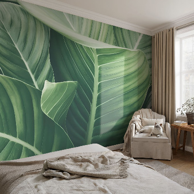 Papel mural con patrón decorativo en color verde con diseño 'Paz'