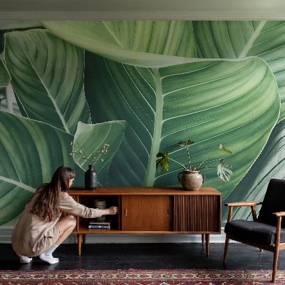 Papel mural con patrón decorativo en color verde con diseño 'Paz'