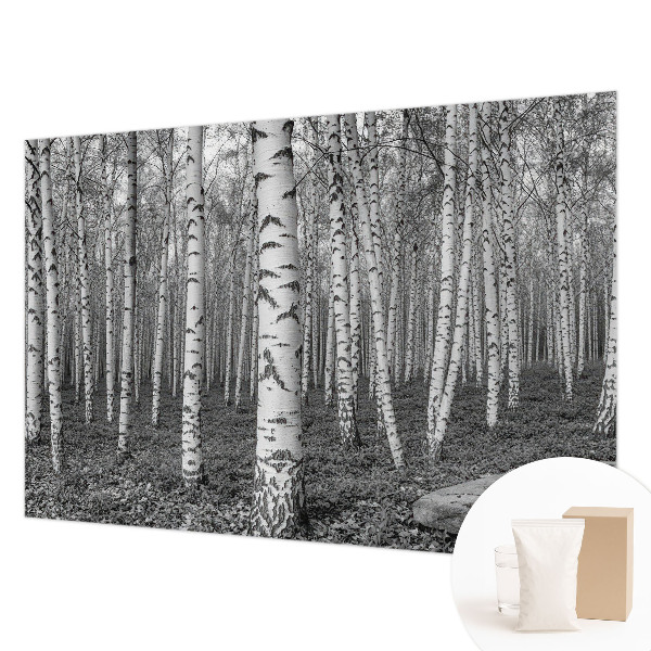 Mural decorativo con un motivo de bosque de abedules