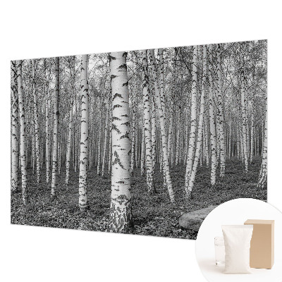 Mural decorativo con un motivo de bosque de abedules