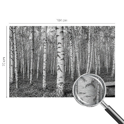 Mural decorativo con un motivo de bosque de abedules
