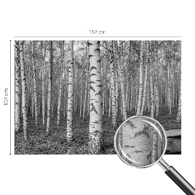 Mural decorativo con un motivo de bosque de abedules