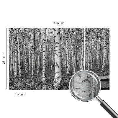 Mural decorativo con un motivo de bosque de abedules