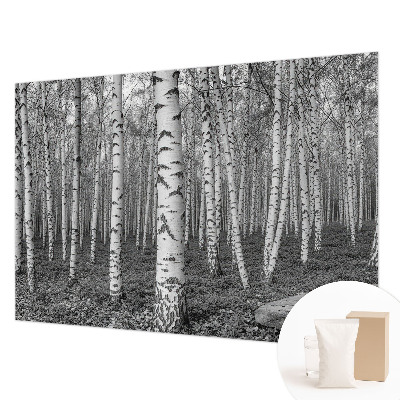 Mural decorativo con un motivo de bosque de abedules