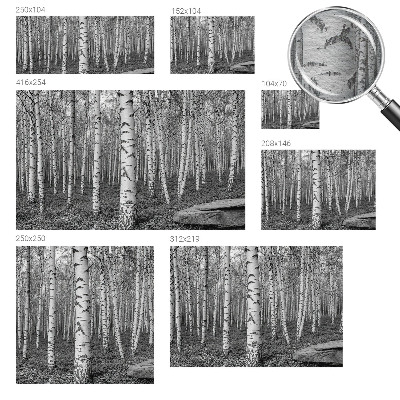 Mural decorativo con un motivo de bosque de abedules
