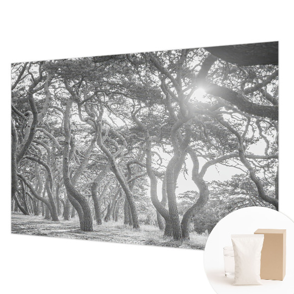 Mural decorativo con un motivo de bosque atmosférico