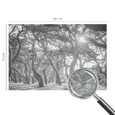 Mural decorativo con un motivo de bosque atmosférico