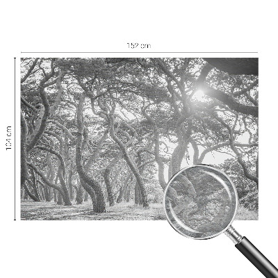 Mural decorativo con un motivo de bosque atmosférico