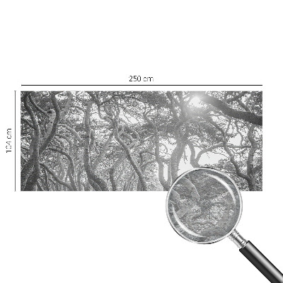 Mural decorativo con un motivo de bosque atmosférico