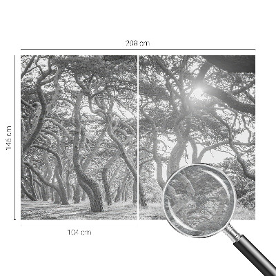 Mural decorativo con un motivo de bosque atmosférico