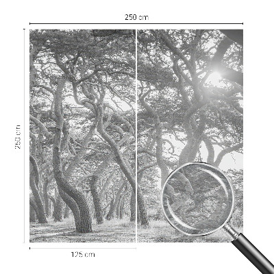 Mural decorativo con un motivo de bosque atmosférico