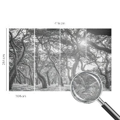 Mural decorativo con un motivo de bosque atmosférico