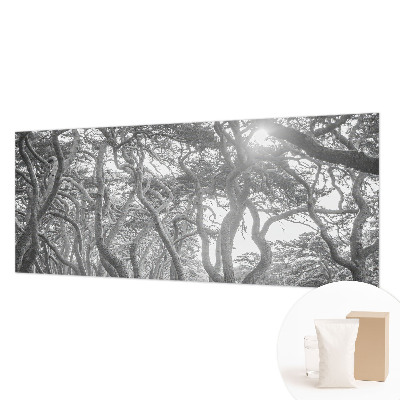 Mural decorativo con un motivo de bosque atmosférico