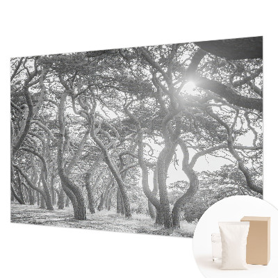 Mural decorativo con un motivo de bosque atmosférico
