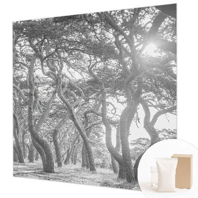 Mural decorativo con un motivo de bosque atmosférico