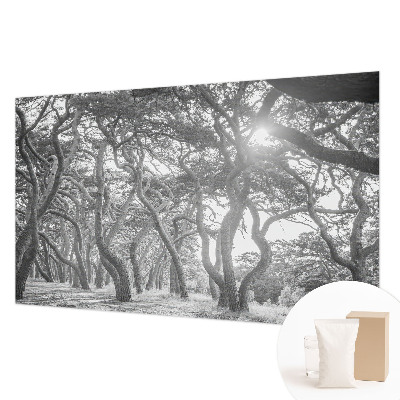 Mural decorativo con un motivo de bosque atmosférico