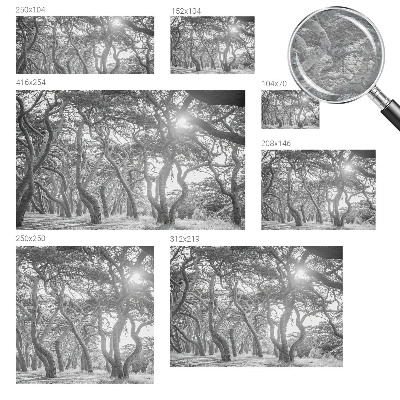 Mural decorativo con un motivo de bosque atmosférico