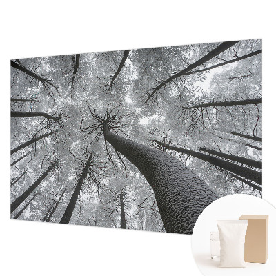 Papel mural texturado decorativo con estampado de paisaje invernal