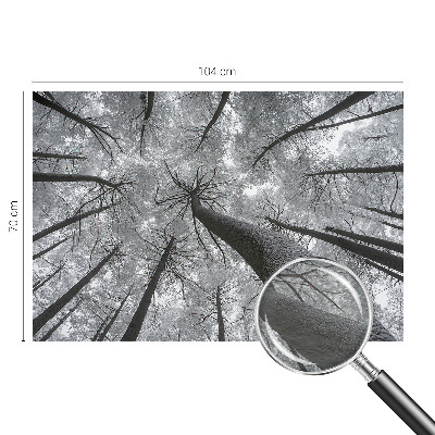 Papel mural texturado decorativo con estampado de paisaje invernal