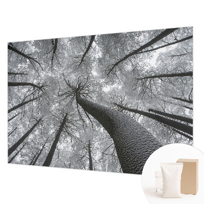 Papel mural texturado decorativo con estampado de paisaje invernal