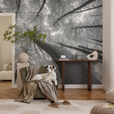 Papel mural texturado decorativo con estampado de paisaje invernal