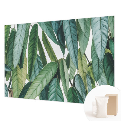 Mural de pared con estampado hermoso con motivo de hojas naturales
