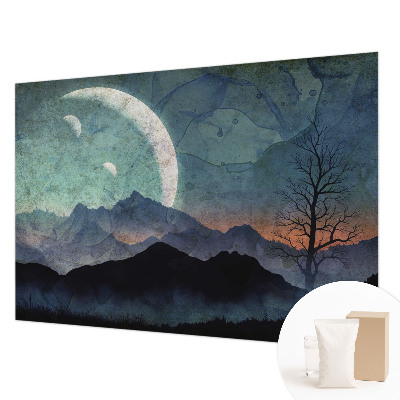 Mural de pared con estampado hermoso con un paisaje nocturno