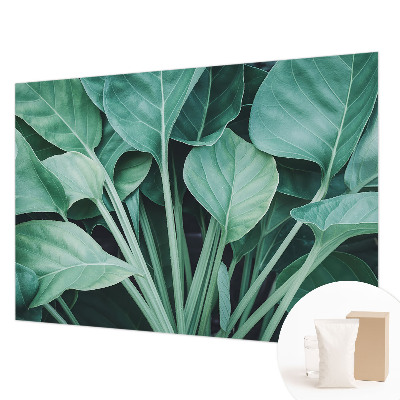 Mural de pared con estampado hermoso con motivo de naturaleza en tonos verdes